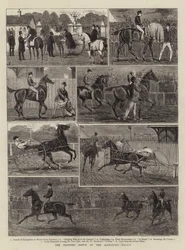 The Trotting Match at the Alexandra Palace